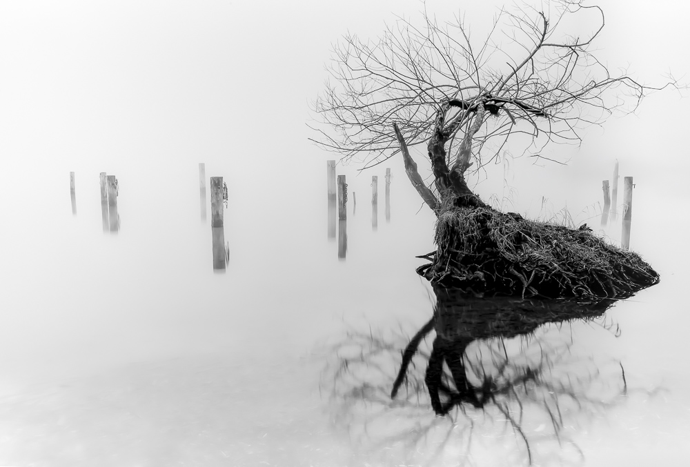 Platz 12 Sieglinde Senser